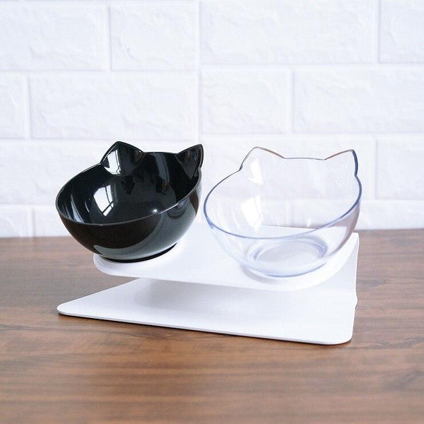 Anti vomiting pet double bowl