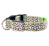 Nylon Leopard LED Dog Collar